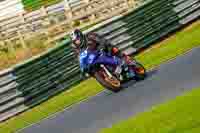 enduro-digital-images;event-digital-images;eventdigitalimages;mallory-park;mallory-park-photographs;mallory-park-trackday;mallory-park-trackday-photographs;no-limits-trackdays;peter-wileman-photography;racing-digital-images;trackday-digital-images;trackday-photos